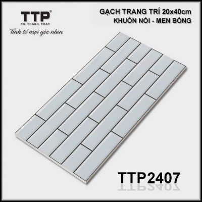 TTP2407 - 20x40 - cm