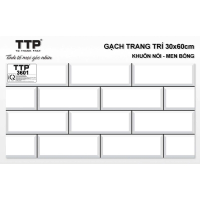 TTP3601 - 30x60-cm