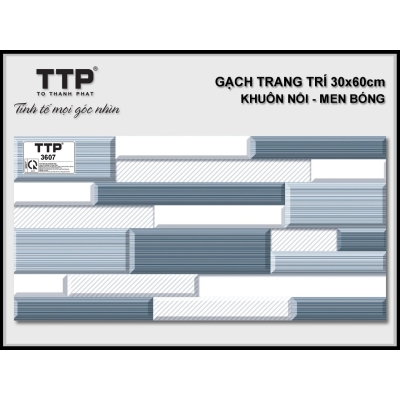 TTP3607- 30x60- cm