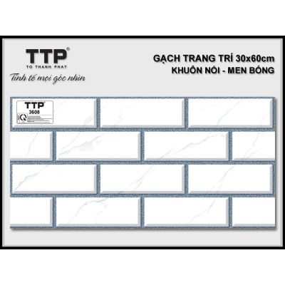 TTP3608 - 30x60 -0cm