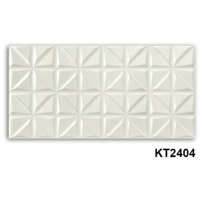 KT2404 20x40 cm