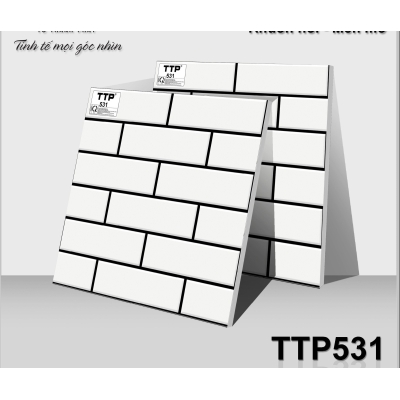 TTP531 50x50 cm